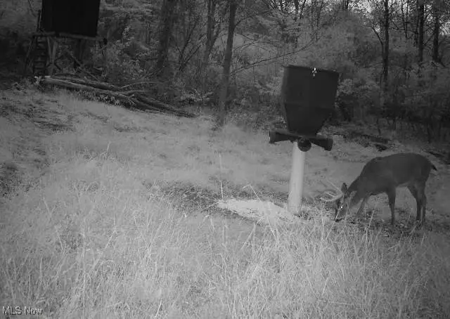 14405 State Route 83, Coshocton, OH 43812 - Image #3