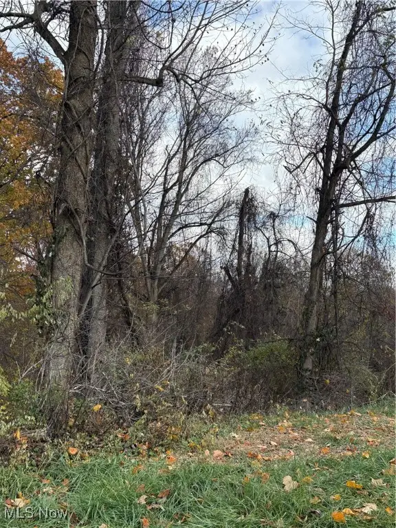 Wanda Street, Weirton, WV 26062 - Image #3