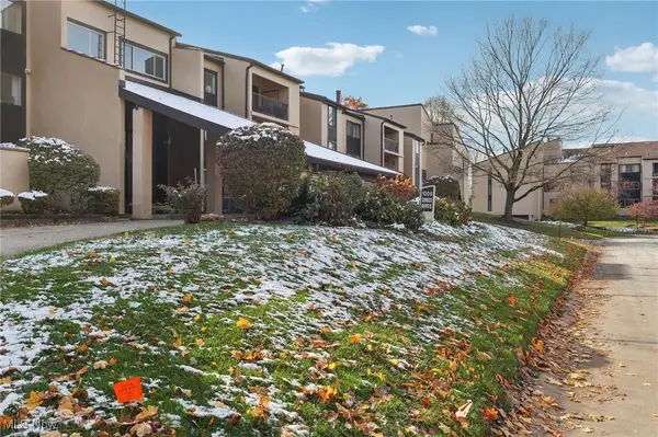 1006 Bunker Drive #204, Fairlawn, OH 44333