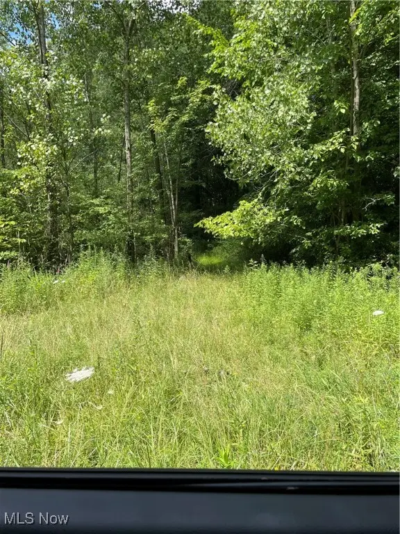 Cowley Road, Columbia Station, OH 44028 - Image #3