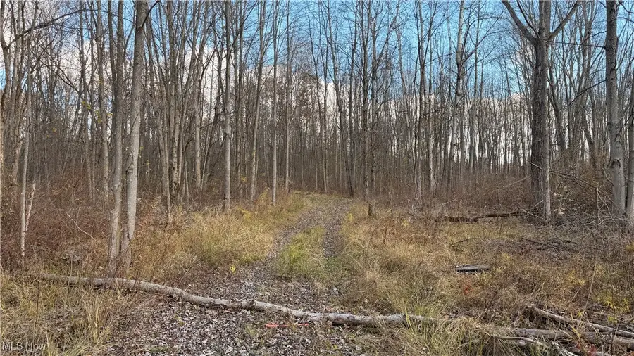 2119 Hayford Road, Rock Creek, OH 44084 - Image #2