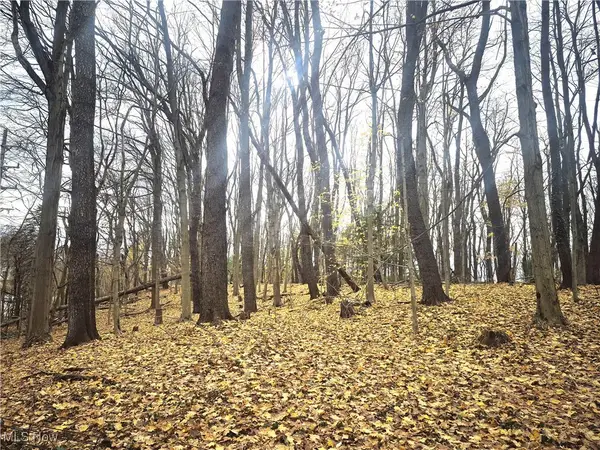 Parcel 1 Auburn Road, Chardon, OH 44024