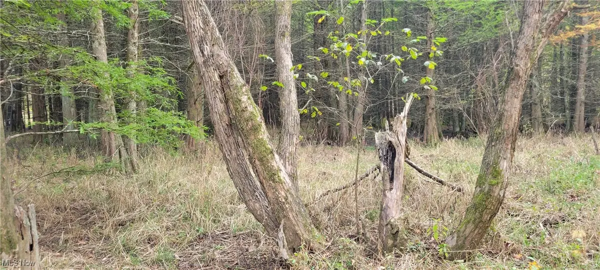 0000 Green Road, Tippecanoe, OH 44699 - Image #1