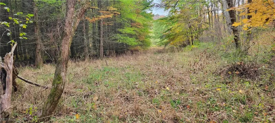 0000 Green Road, Tippecanoe, OH 44699 - Image #2