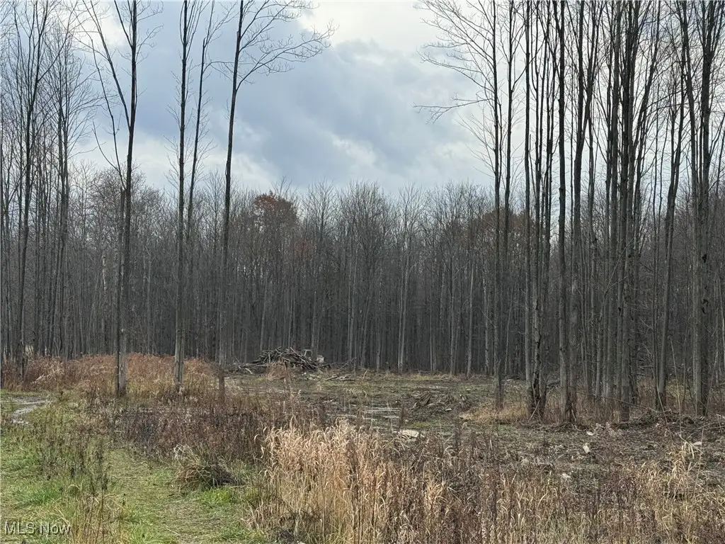 Root Road, Conneaut, OH 44030 - Image #1