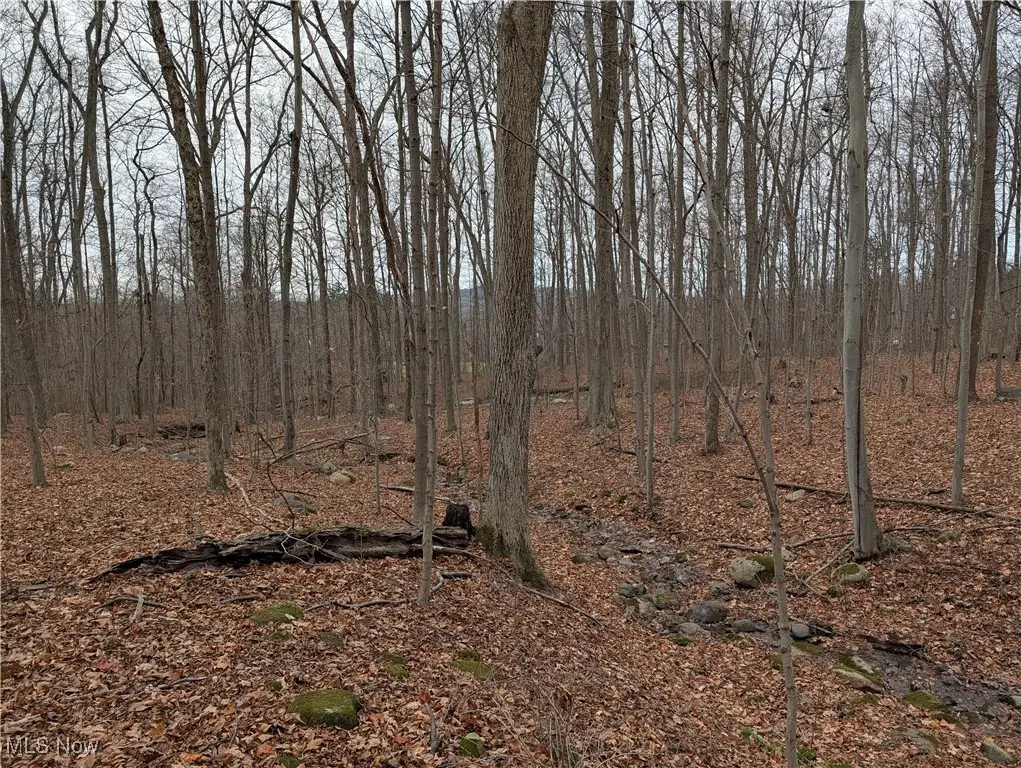 Thwing Road, Chardon, OH 44024 - Image #1