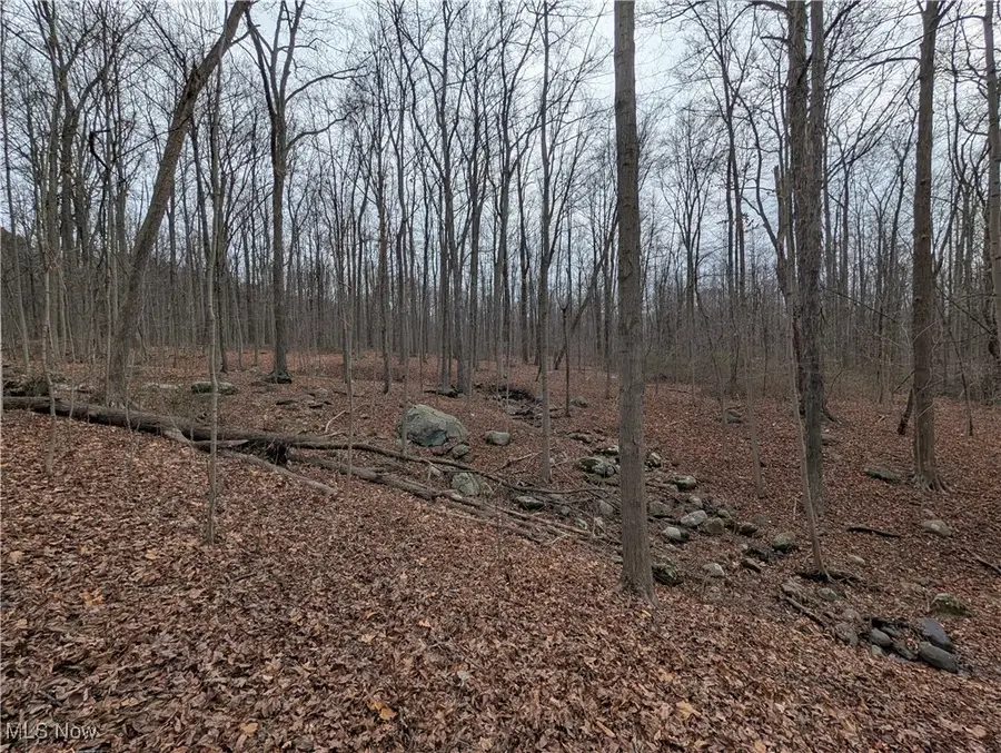 Thwing Road, Chardon, OH 44024 - Image #3