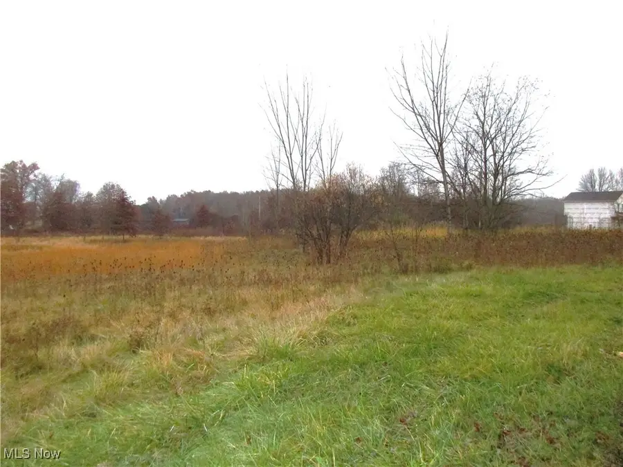 Palmyra Road, Lordstown, OH 44481 - Image #3