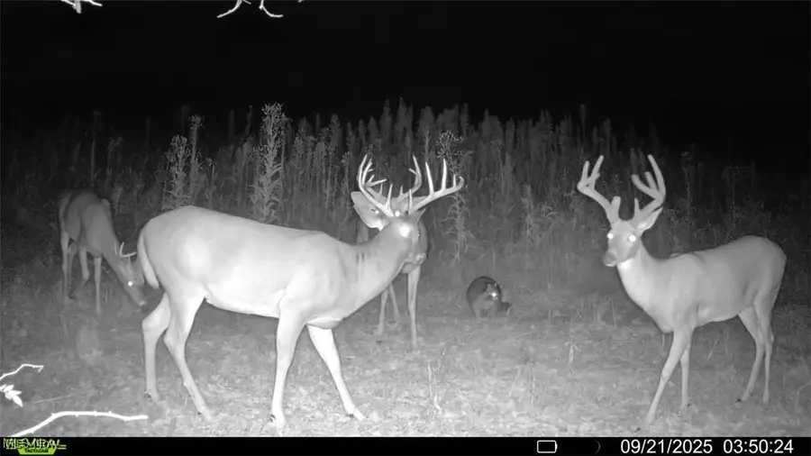 Emerick Road, Kensington, OH 44427 - Image #3