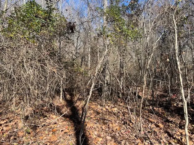 845 Back Run Road, Philo, OH 43771 - Image #3