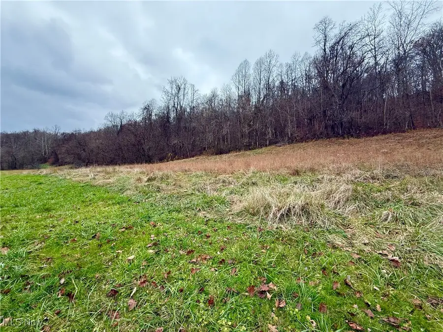 S Pleasants Highway, Saint Marys, WV 26170 - Image #2