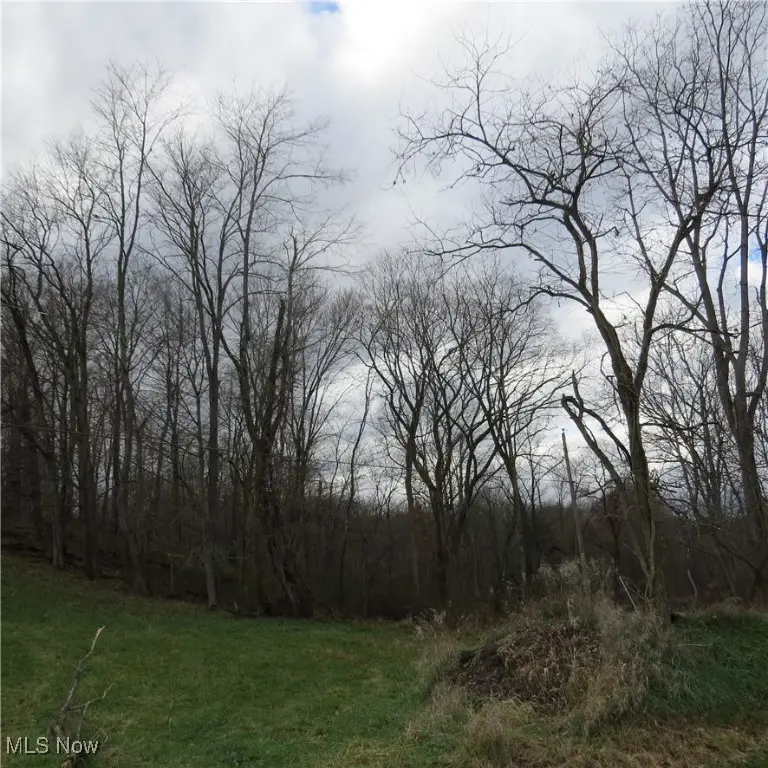 2245 Scroll Sw Road, Carrollton, OH 44615 - Image #3