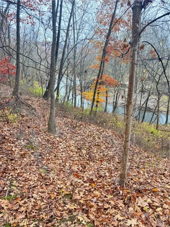 72635 8th Street Road, Kimbolton, OH 43749 - Image #2