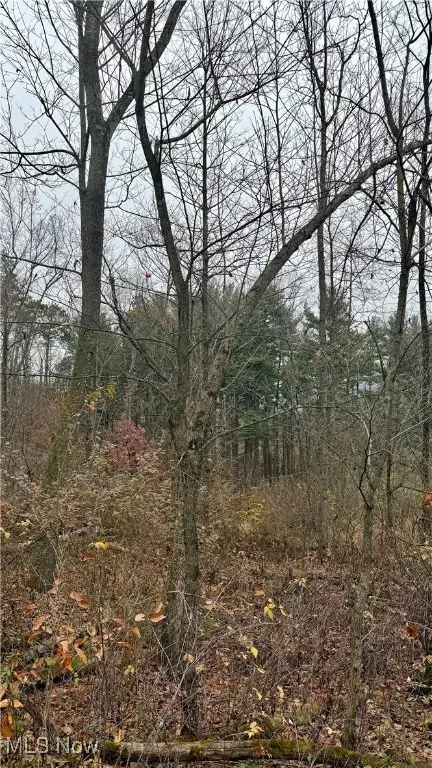 Surrey Se Drive, Minerva, OH 44657 - Image #3