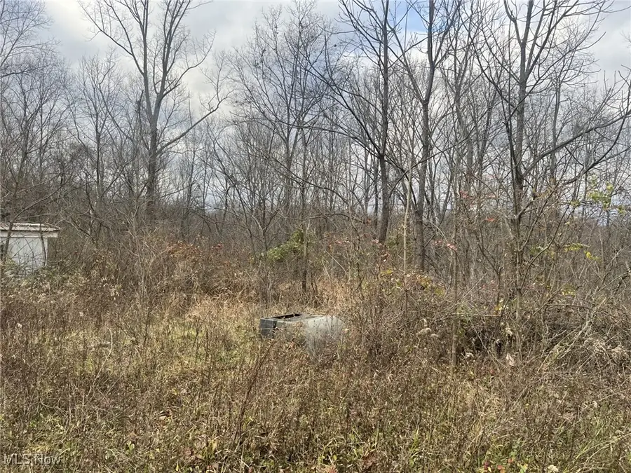 231 & 265 Big Oak Road, Malta Township, OH 43787 - Image #2