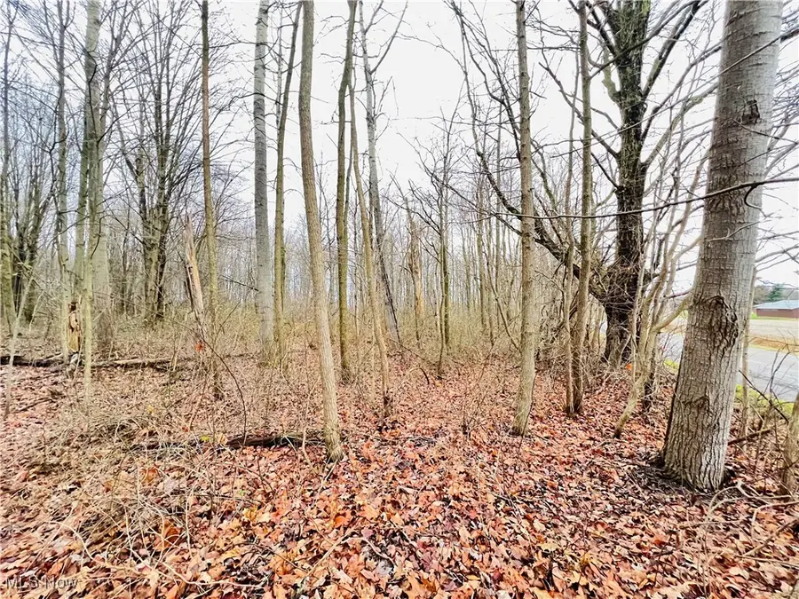 00 Kinsman Knickerson Road, Kinsman, OH 44428 - Image #3