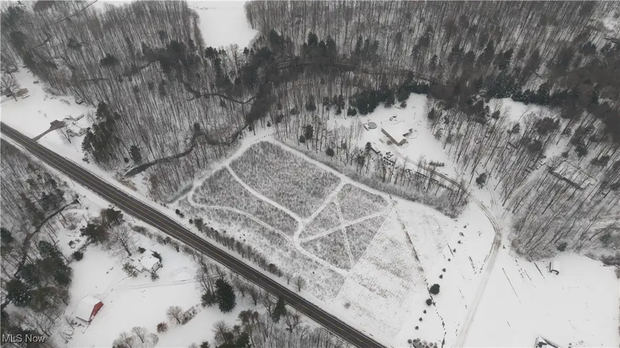 Vacant Land Painesville Warren Road, Painesville, OH 44077 - Image #3