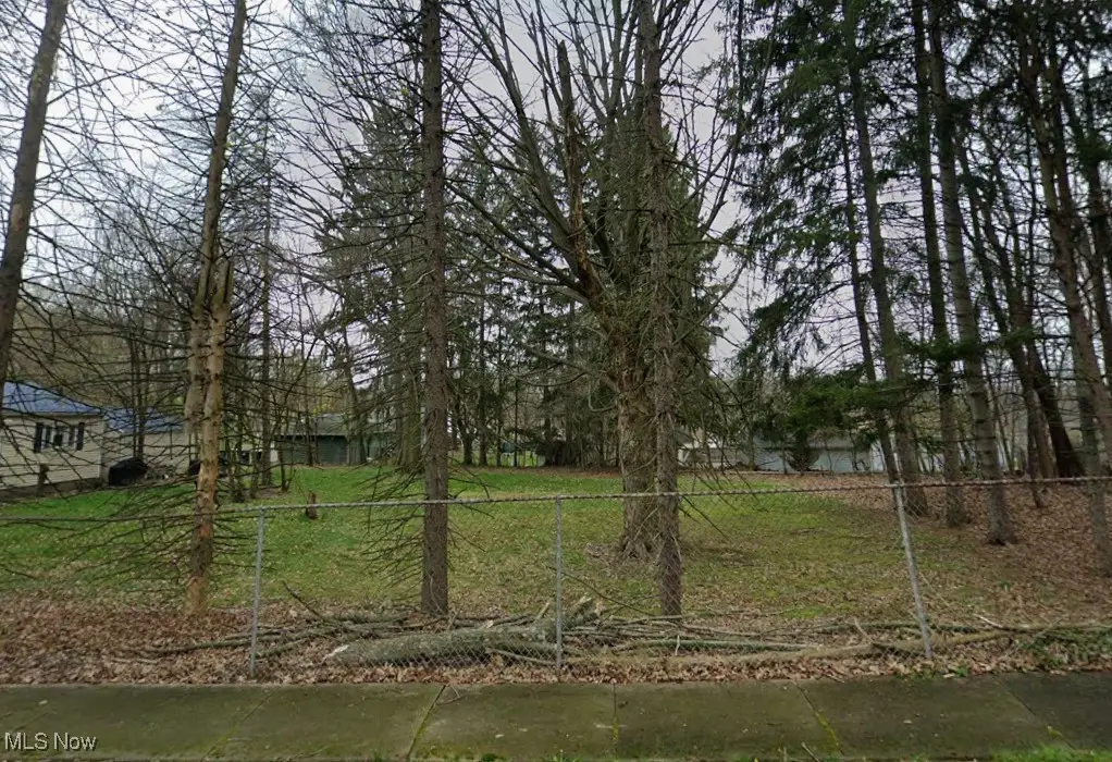 Burbank Avenue, Akron, OH 44305 - Image #1