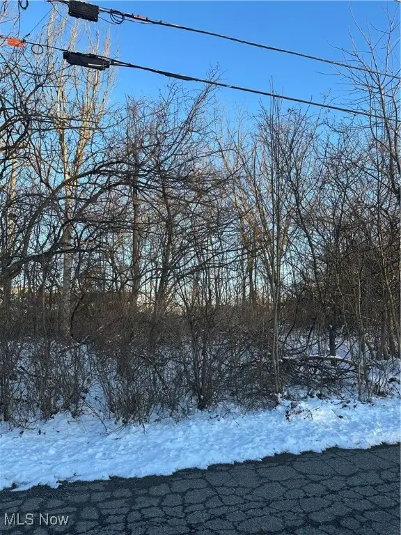 N Navarre Avenue, Austintown, OH 44515 - Image #2