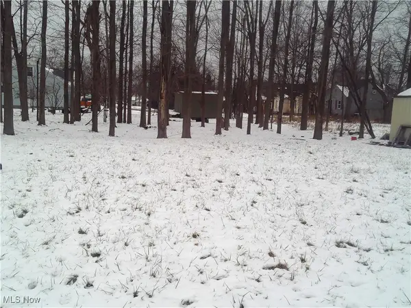 Arianna Avenue, Lorain, OH 44052