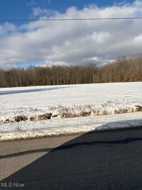 Griggs Road, Jefferson, OH 44047 - Image #3