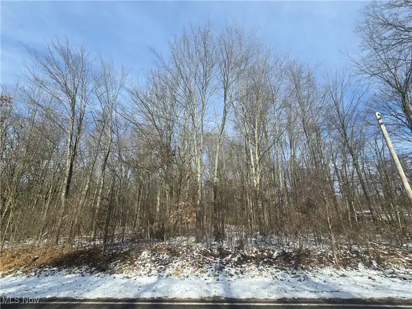 Leffingwell Road, Berlin Center, OH 44401