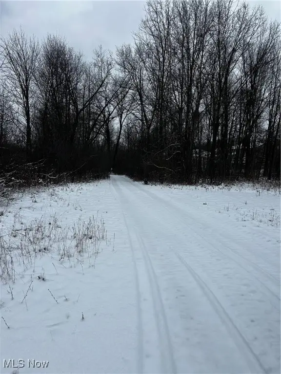 3047 Cannon Road, Twinsburg, OH 44087