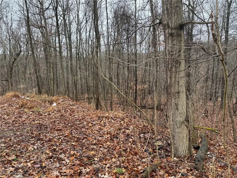 Pert Hill Road, Hopewell, OH 43746 - Image #3