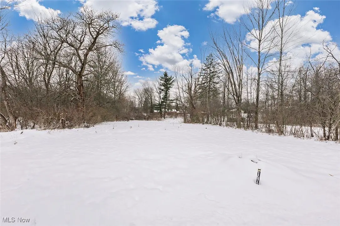 16788 Geneva Street, Chagrin Falls, OH 44023 - Image #1