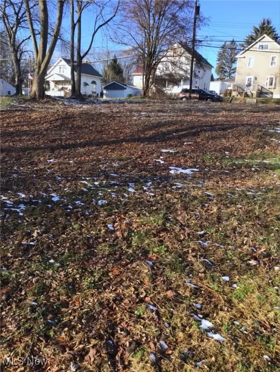 1076 Belleview Avenue, Barberton, OH 44203 - Image #3