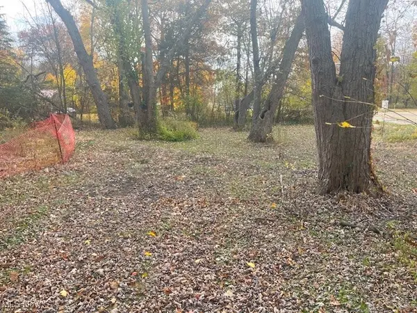 7411 Steams Road, Olmsted Twp, OH 44138