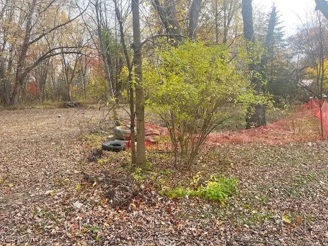 7411 Steams Road, Olmsted Township, OH 44138 - Image #3