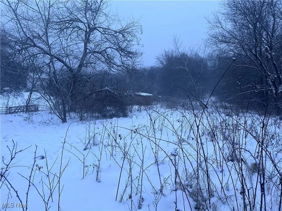 9922 Knowlton Road, Garrettsville, OH 44231 - Image #3