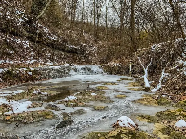 0 Trough Run Road, Bellaire, OH 43906