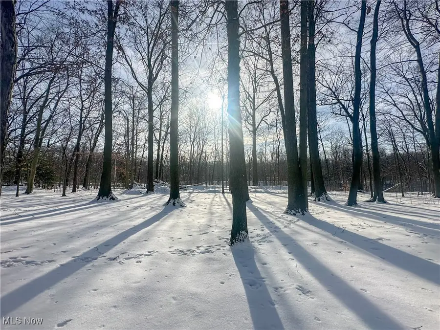 706 Shadowood Se Lane, Howland, OH 44484 - Image #3