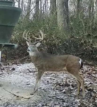 Township Road 138, Coshocton, OH 43812 - Image #3