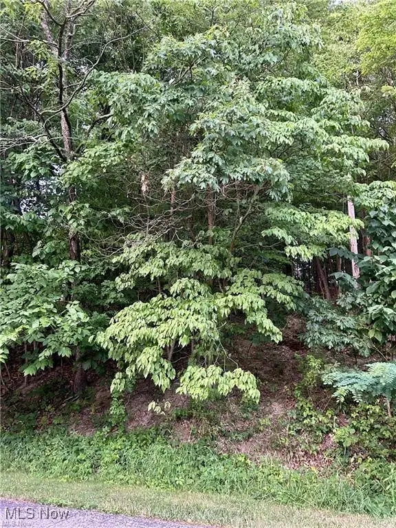 91 Oneida Trail, Malvern, OH 44644 - Image #2