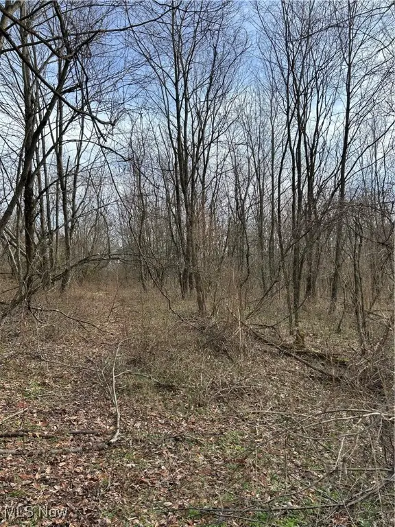 Mace Road, Carrollton, OH 44615 - Image #3