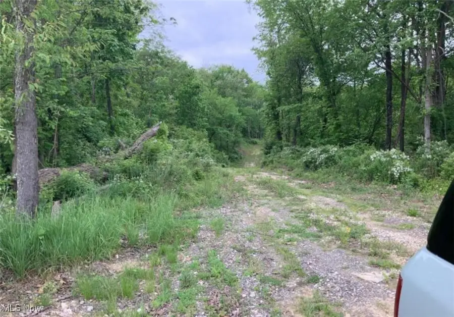 1559 Antigua Sw, Carrollton, OH 44615 - Image #3