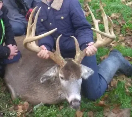 16967 Township Road 63a, Washington, OH 43821 - Image #2