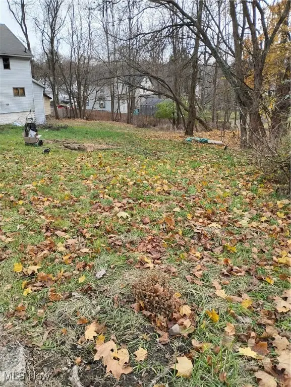 392 Turner Street, Akron, OH 44304 - Image #1