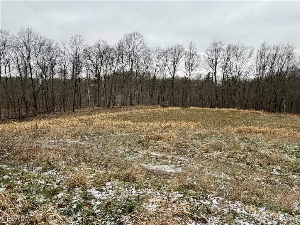 0 Sealover Hollow Road, Philo, OH 43771 - Image #1