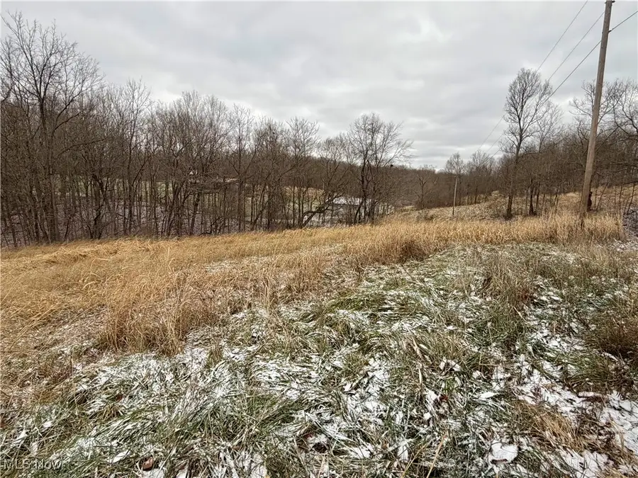 0 Sealover Hollow Road, Philo, OH 43771 - Image #3