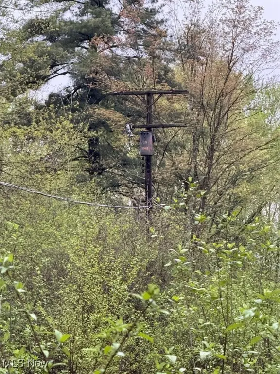 Durst Drive, Cortland, OH 44410 - Image #3