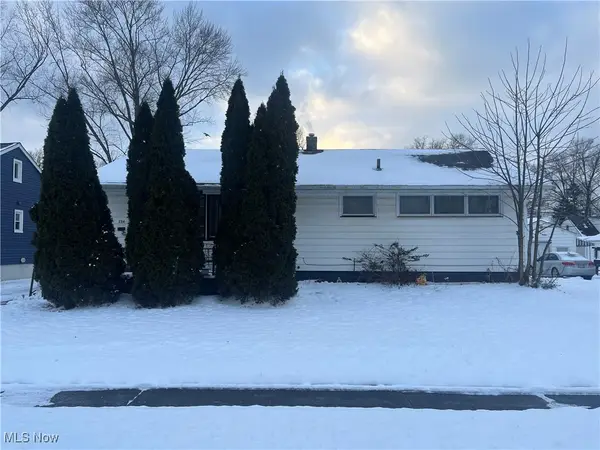 234 Bellfield Avenue, Elyria, OH 44035