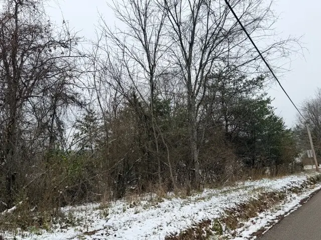 Bailey Road, Elizabeth, WV 26143 - Image #2