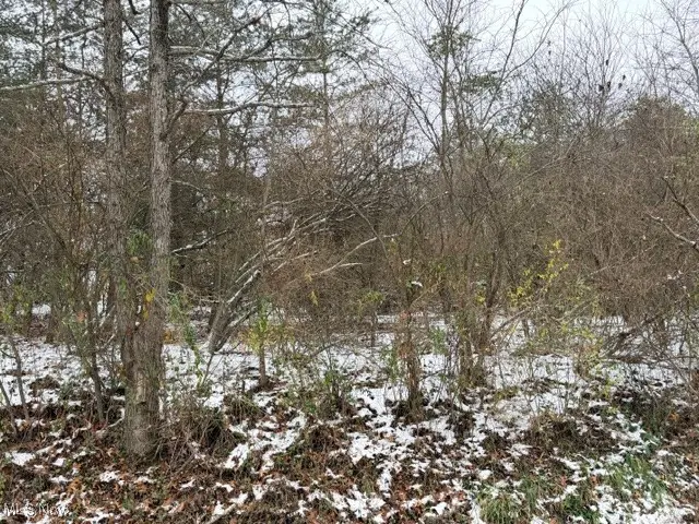 Bailey Road, Elizabeth, WV 26143 - Image #3