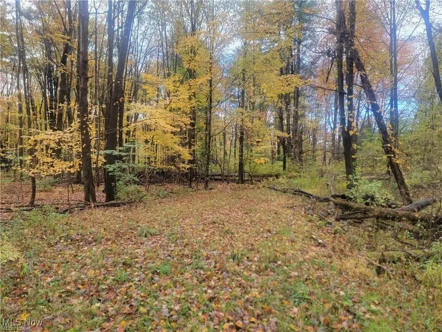 Schaen Drive, Andover, OH 44003 - Image #2