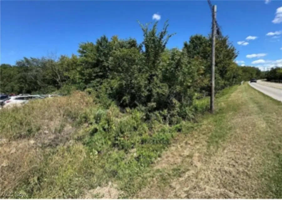 Cooper Foster Park Road, Brownhelm, OH 44001 - Image #2