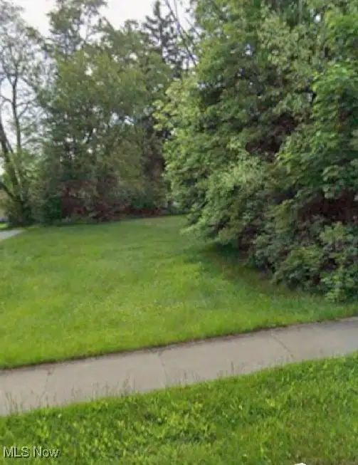 VL Mercer Avenue, Akron, OH 44320 - Image #1